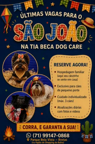 Hospedagem pet no São João - Salvador 