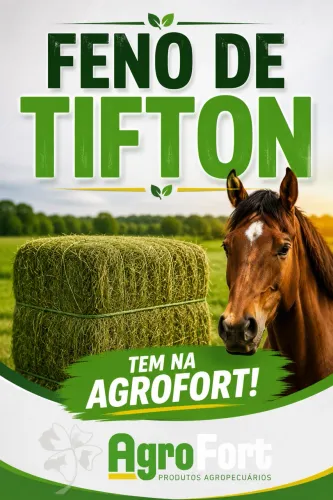 Feno de Tifton 15kg