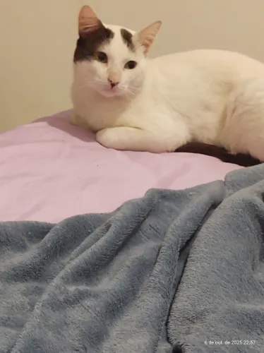 ? Dois corações esperando um lar