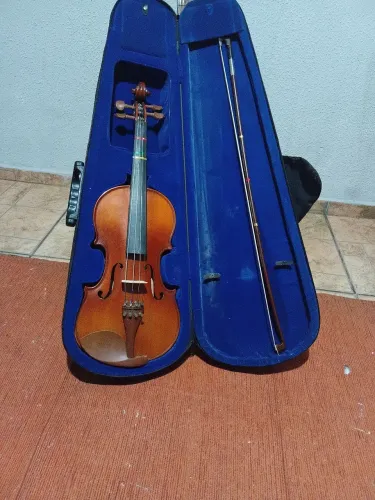 Violino