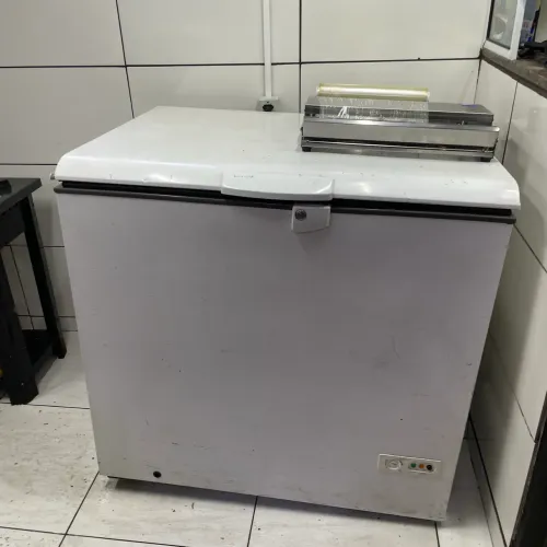 Freezer 310L