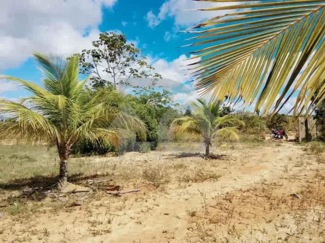Terreno à Venda no Abaís: 1.970 m² Totalmente Aterrado e Planado