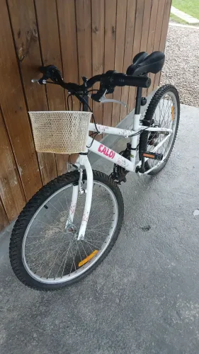 Bicicleta ceci