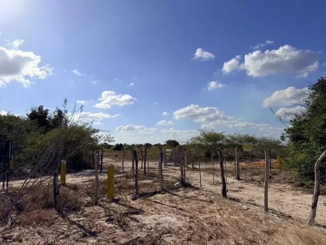 Fazenda a Venda em Macaiba RN - 300 Hectares