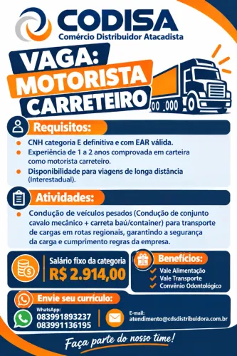 Motorista Carreteiro