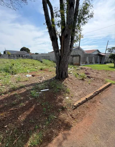 Vende-se terreno na rua aliança N:448