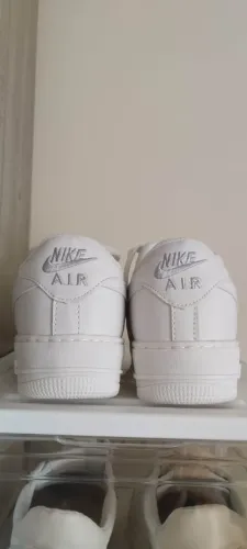 Tenis