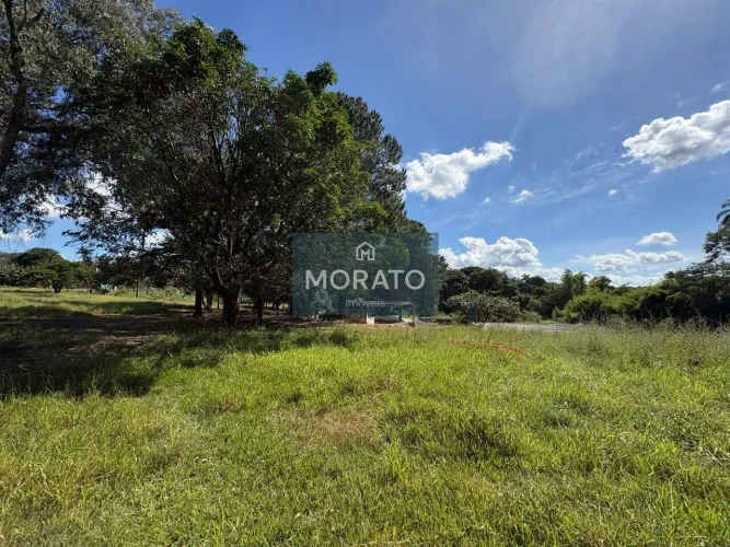 Terreno de 29.548 m² com boa topografia à venda, Bairro Braúnas