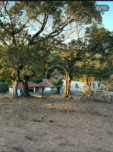 Morrinhos - Fazenda de 47 Alqueires codigo: 308905