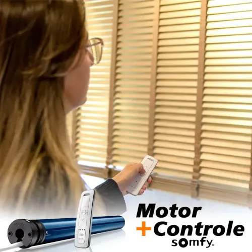Motores persiana