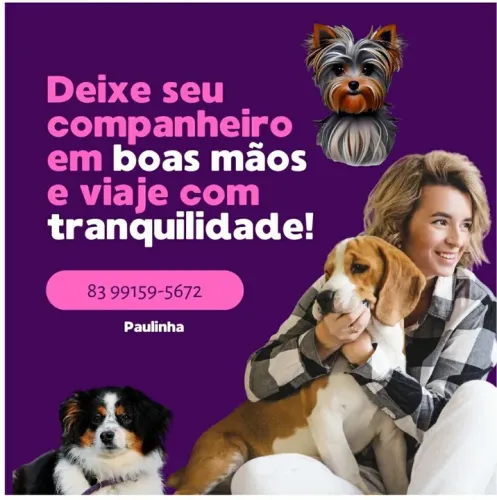 Hotelzinho de pet 