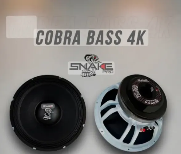Alto Falante 15 polegadas Snake 4k Bass