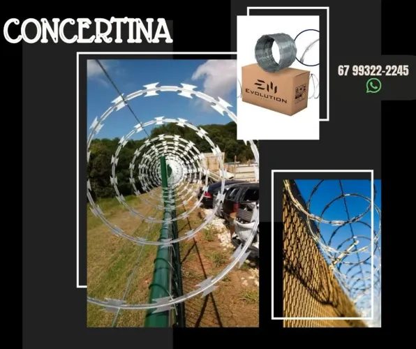 Concertina