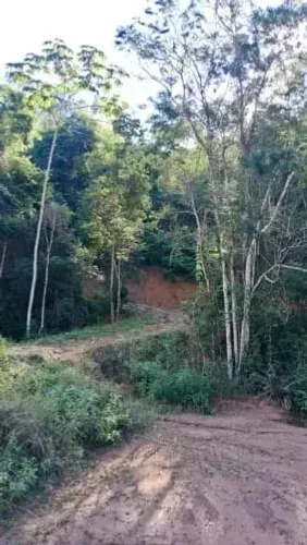 Lindo Sitio em Alto Pena, Paraju por apenas 1.100.000,00, imperdível
