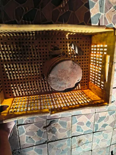 Peça para Freezer - Compressor