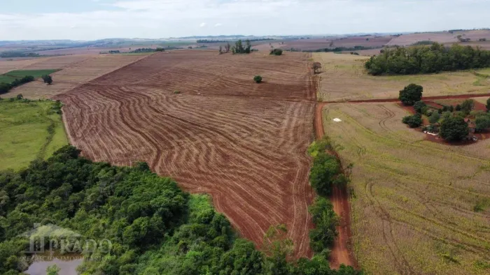Sítio à venda, 157300 m² por R$ 2.500.000,00 - Engenho de Pau - Ibiporã/PR