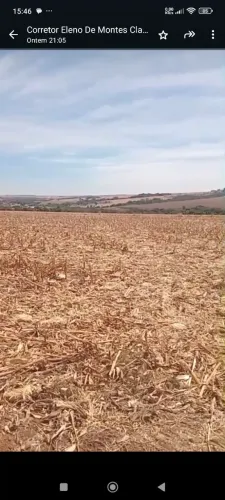 Fazenda vende 130 alqueires em Montividiu Goiás R$:1.300.000 por alqueires