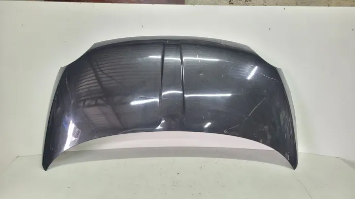 Capo fiat 500