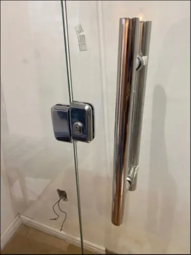 Porta de vidro temperado 8mm