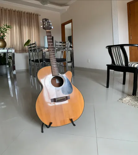 Takamine EG220c