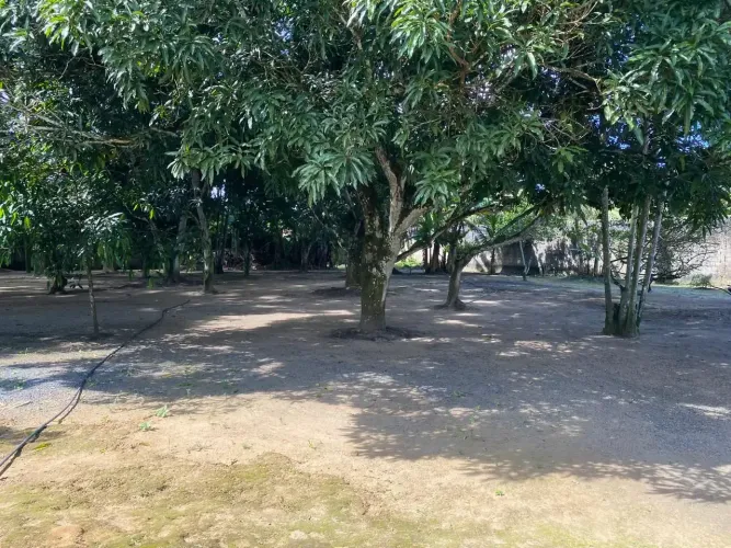 Áreas à venda, CAPIBARIBE, São Lourenço da Mata, PE
