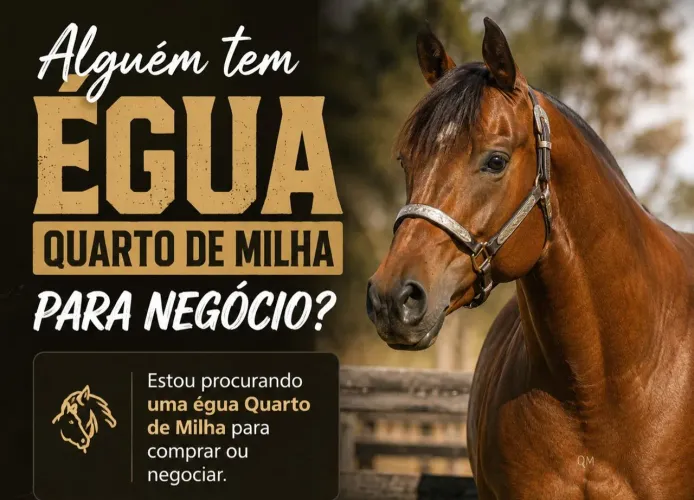 Cavalo
