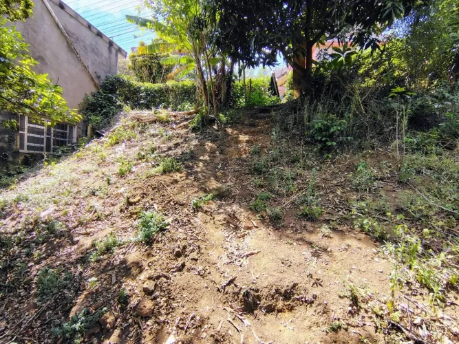 Lote / Terreno em Bela Vista - Nova Friburgo
