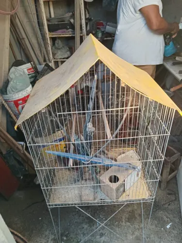 Gaiola para passarinho