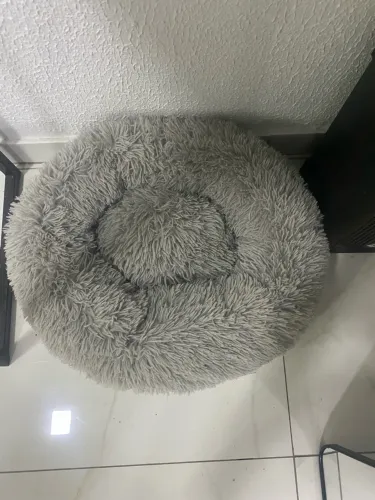 Cama de pet