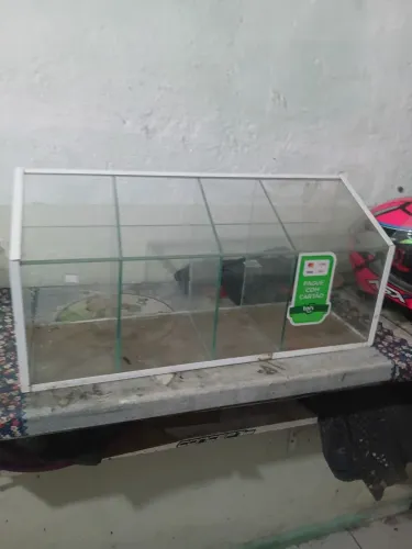 Vitrine expositora baleiro