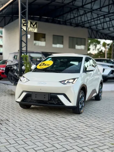 BYD Dolphin Mini (Elétrico) 2027