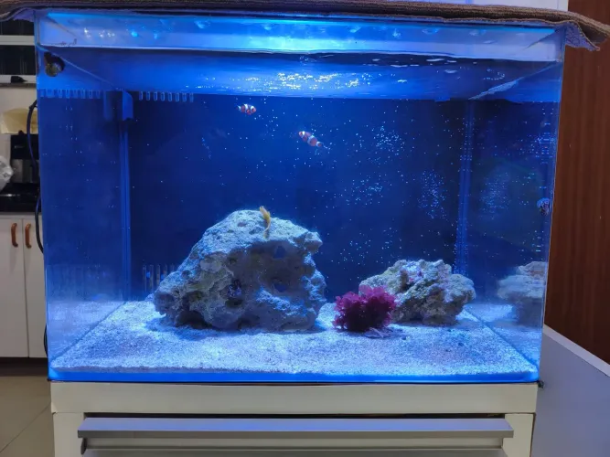 Aquário 72L ocean Tech