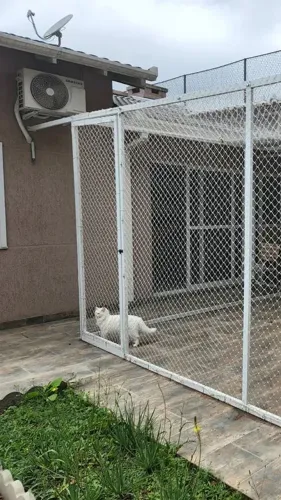 Gatil com tela de proteção para seus gatos