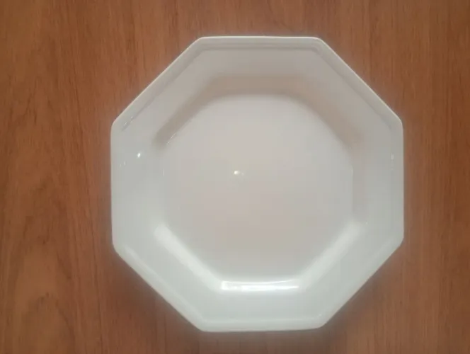 Conjunto 10 pratos de porcelana para restaurante