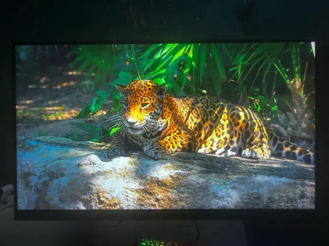 Monitor Gamer Pichau Centauri CRS24 240Hz IPS 1ms + Braço Articulado ELG Pistão a Gás