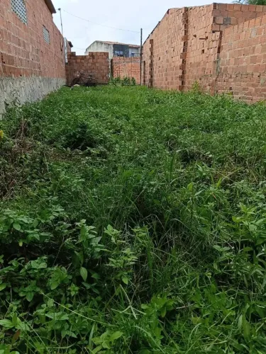 VENDO TERRENO MEDINDO 5m X 20m, NO MANÉ PRETO (SANTO ANTÔNIO)