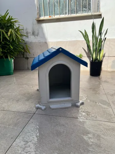 Casinha pet