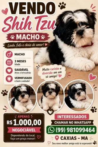 Vendo Shi Tzu