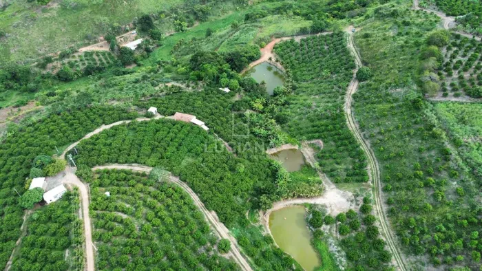 Incrível! Propriedade com 8,1 Hectares entre Chã Grande e Amaraji/PE