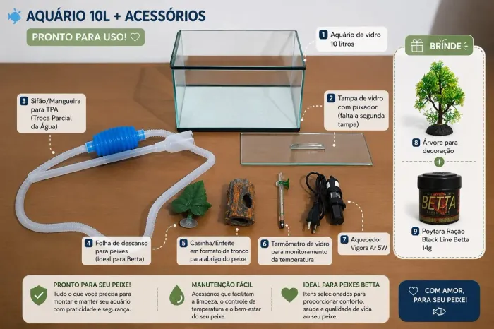 Aquário de vidro - 10 litros com ACESSÓRIOS e EXTRAS, + (brindes)