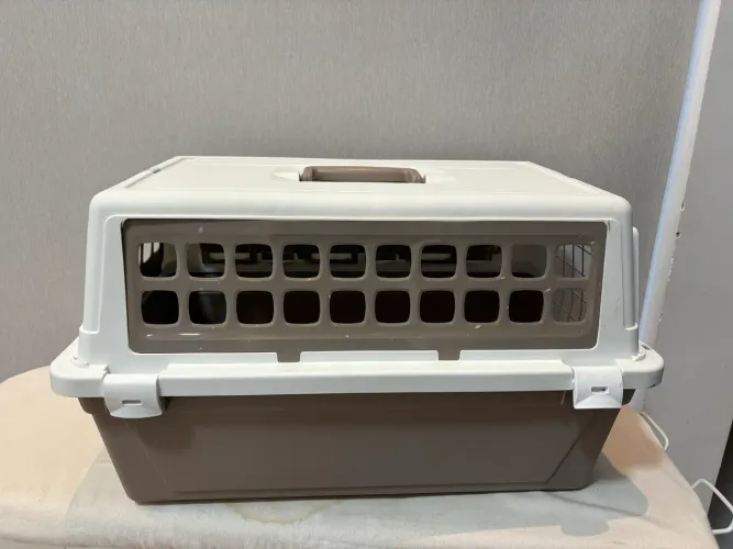Caixa transporte para cães e gatos Atlas tamanho 20