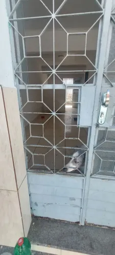 CADELA DE SETE PRA MESES PRA DOAÇÃO 