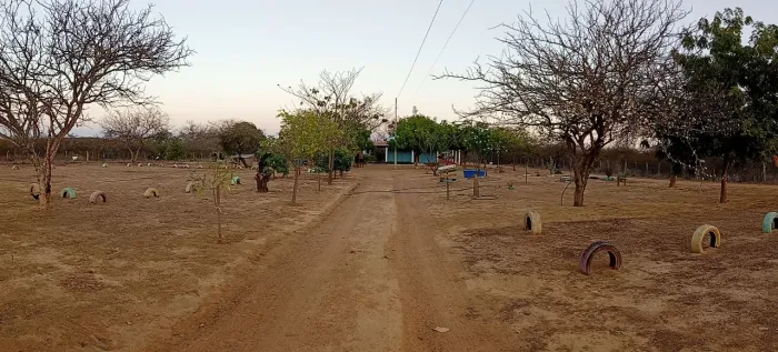 Sítio 2 hectares