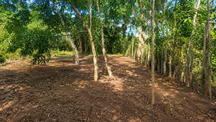LOTE COMERCIAL DE ESQUINA, 13 X 24 M, 312 M², VILLAGE DO SOL, ESCRITURADO ACEITO PROPOSTA<br>