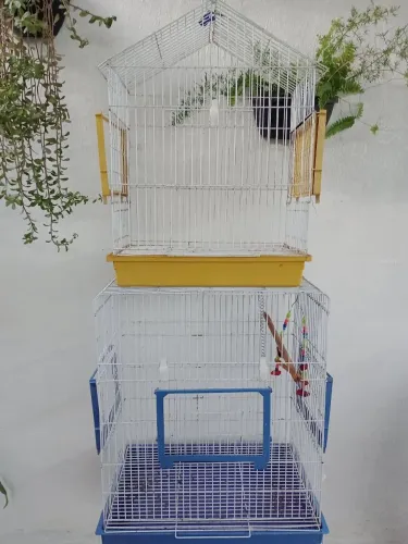 Vendo Gaiolas.