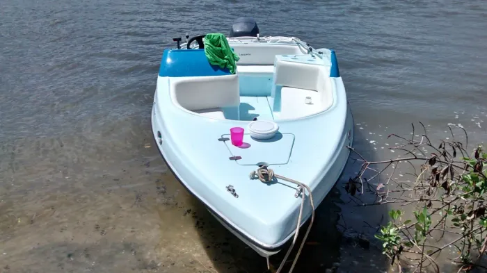 Lancha Diamar Electra 16