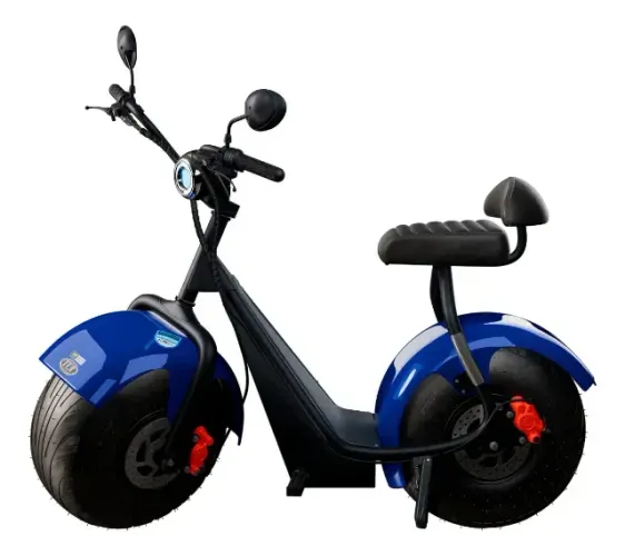 Scooter Elétrica Tui Compacta 1000W 60V Azul | NOVA