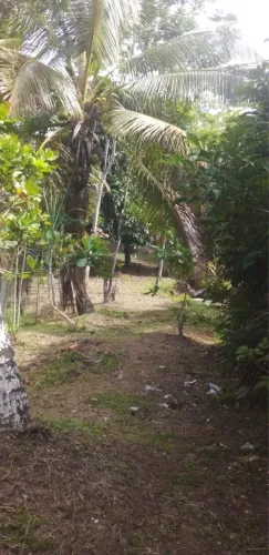 SÍTIO COM CASA GRANDE NA ILHA DE ITAPARICA