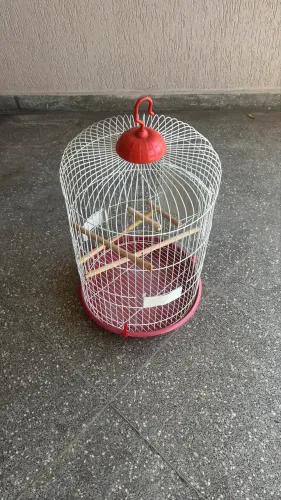 Gaiola piu piu