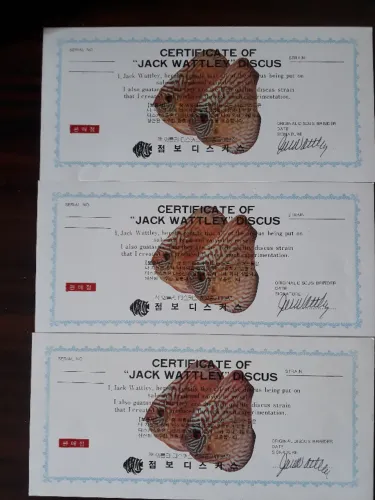 Certificados de Jack Wattley - famoso criador mundial de Ácaras disco - Assinados a mão
